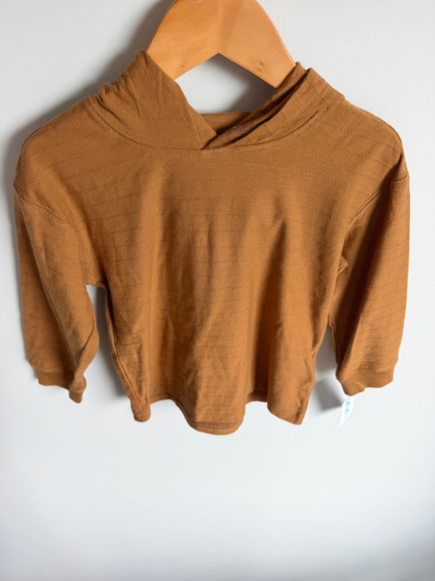 Tan Hooded Long Sleeve (With Tags) / 24m