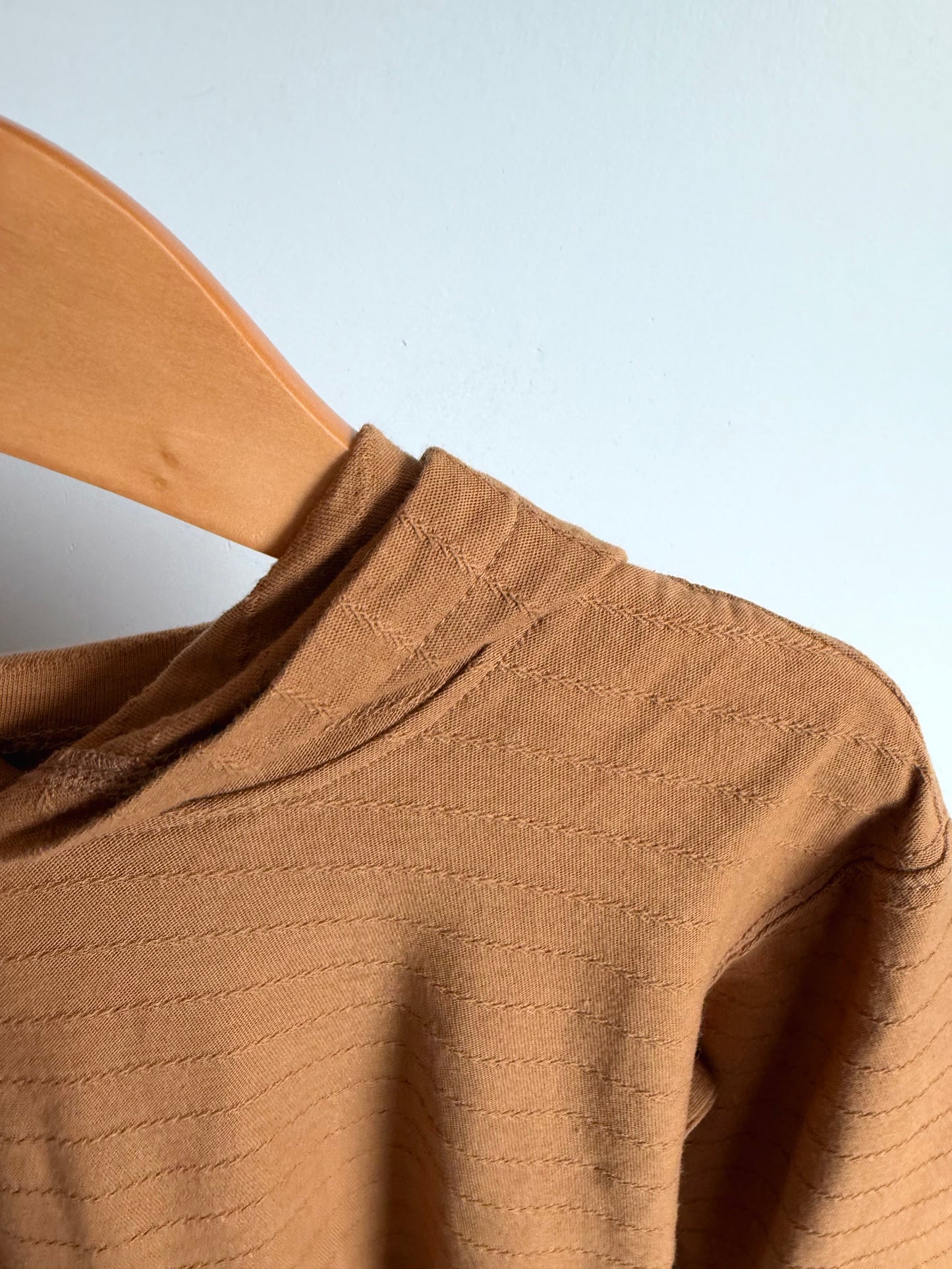 Tan Hooded Long Sleeve (With Tags) / 24m
