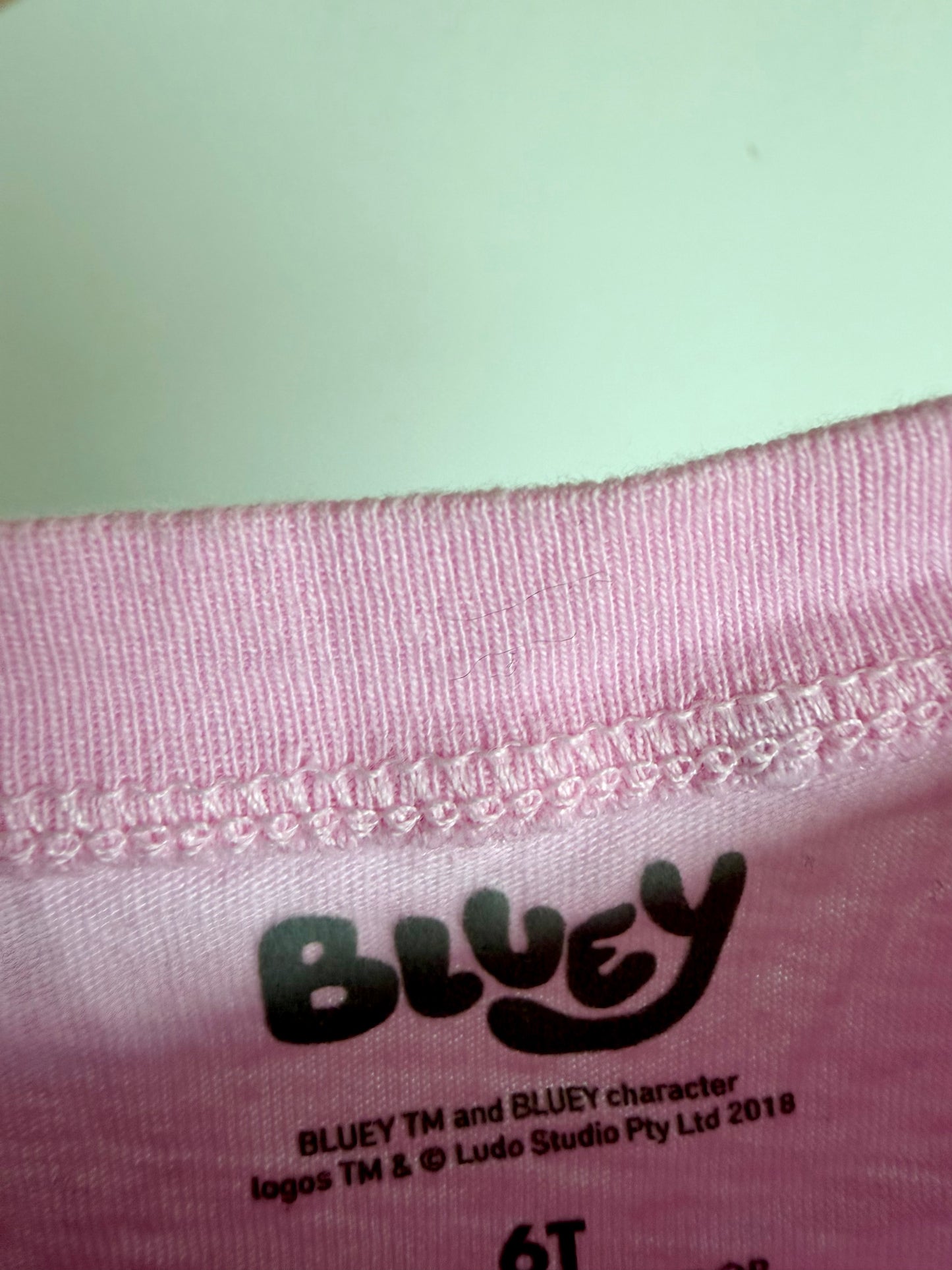 Pink Bluey T-shirt / 6T