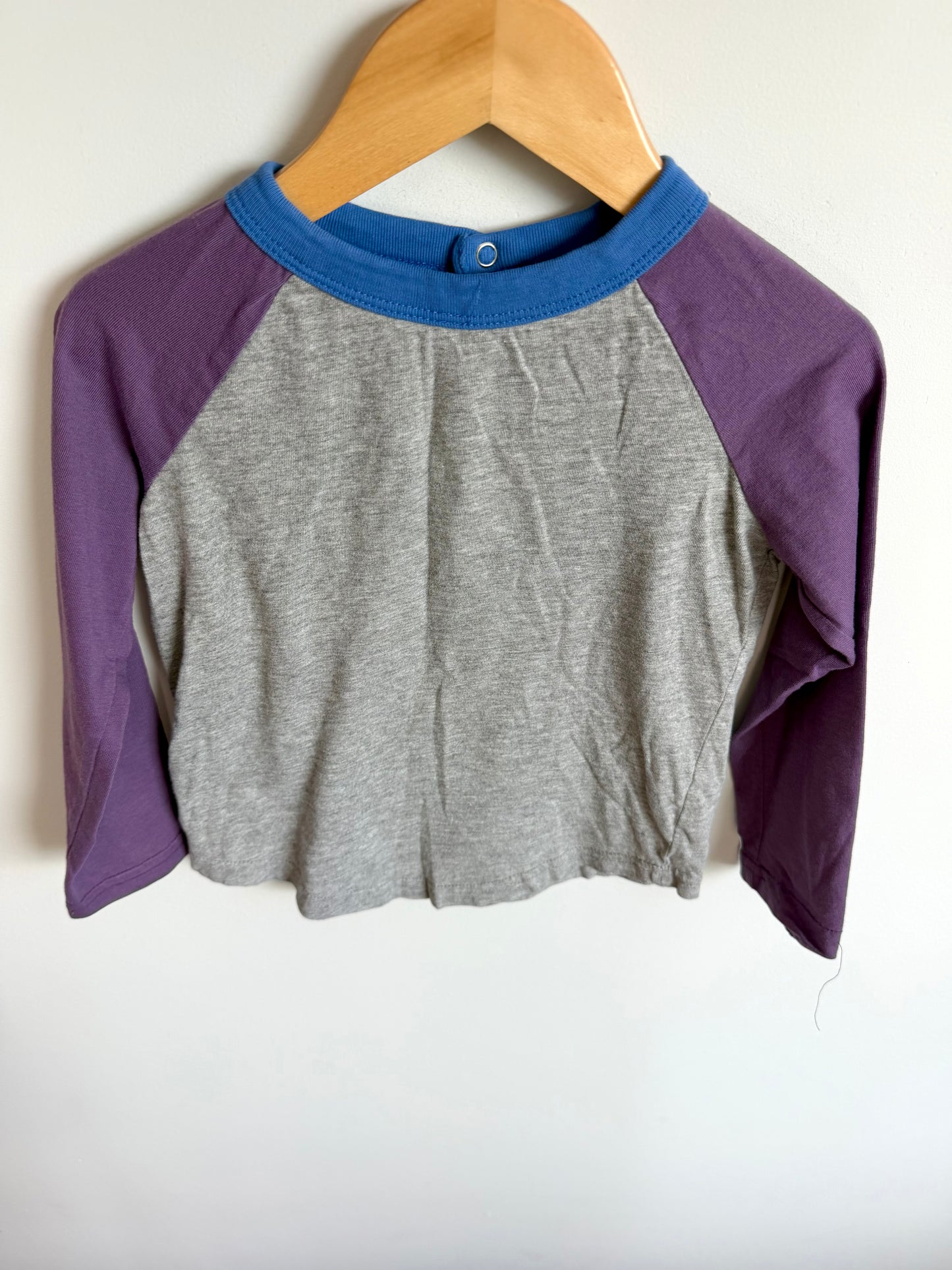 Purple + Grey Long Sleeve / 4T