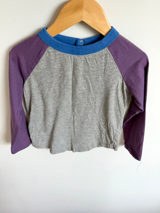 Purple + Grey Long Sleeve / 4T