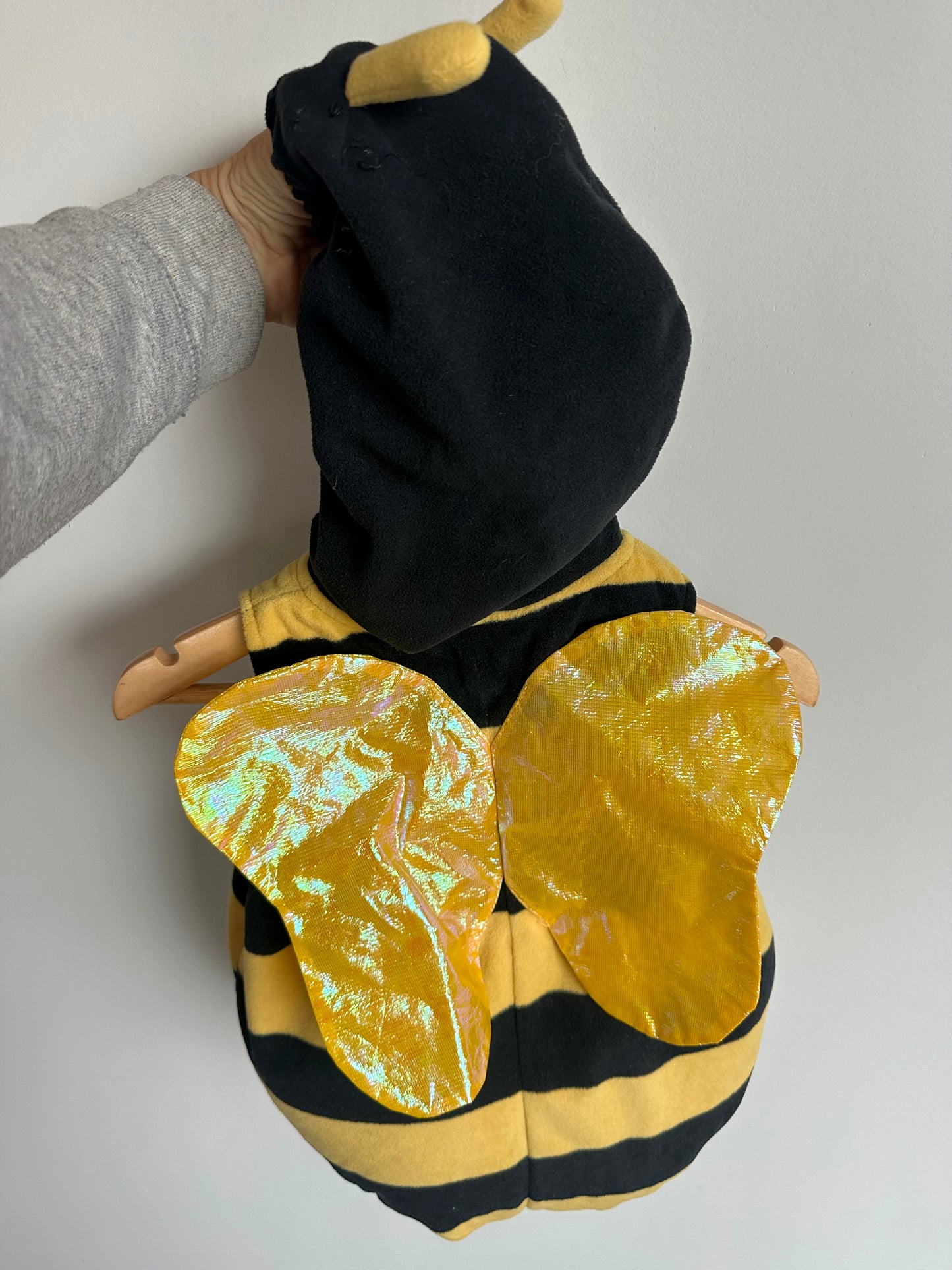 Bee Costume / 12m