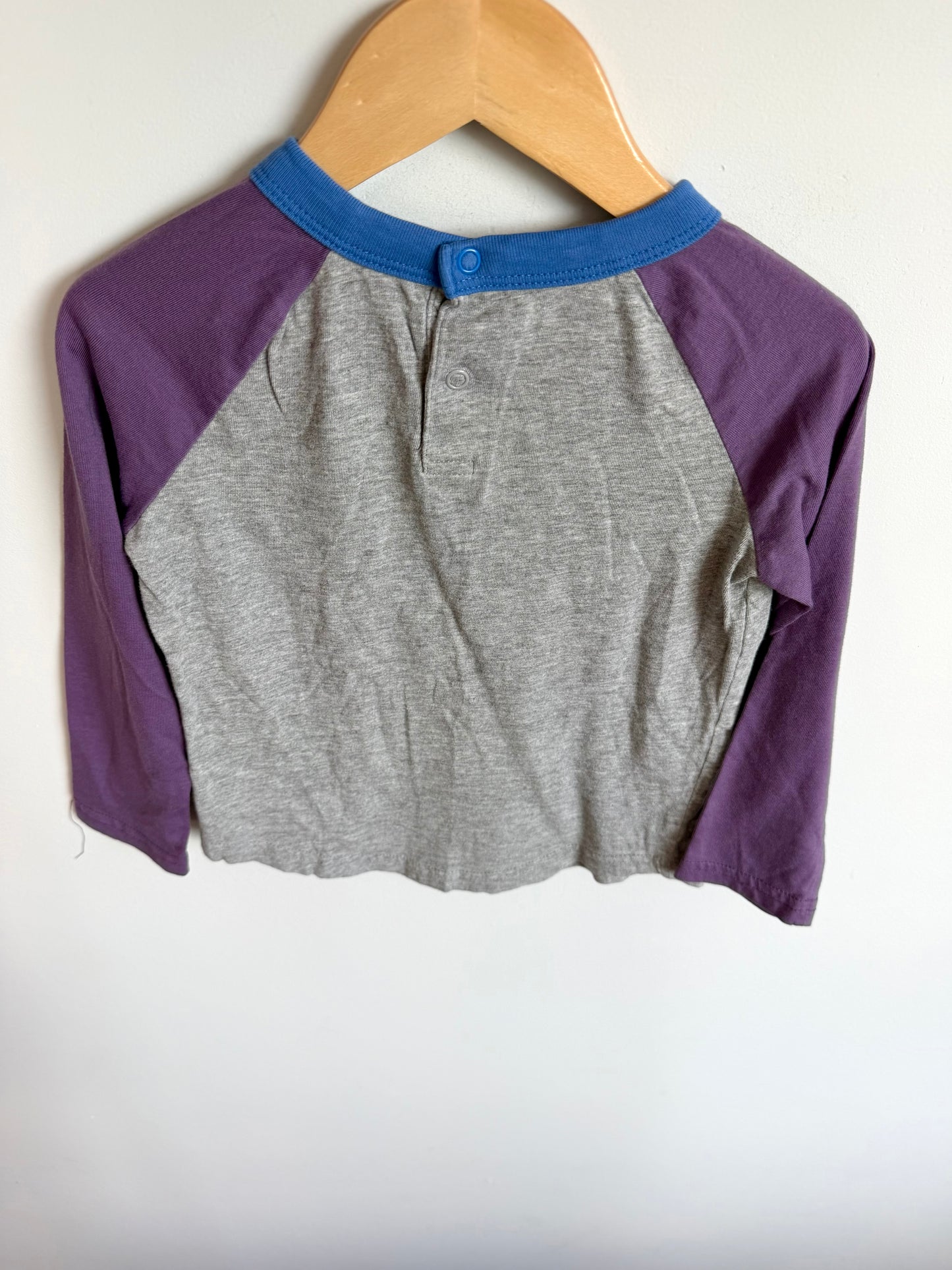 Purple + Grey Long Sleeve / 4T
