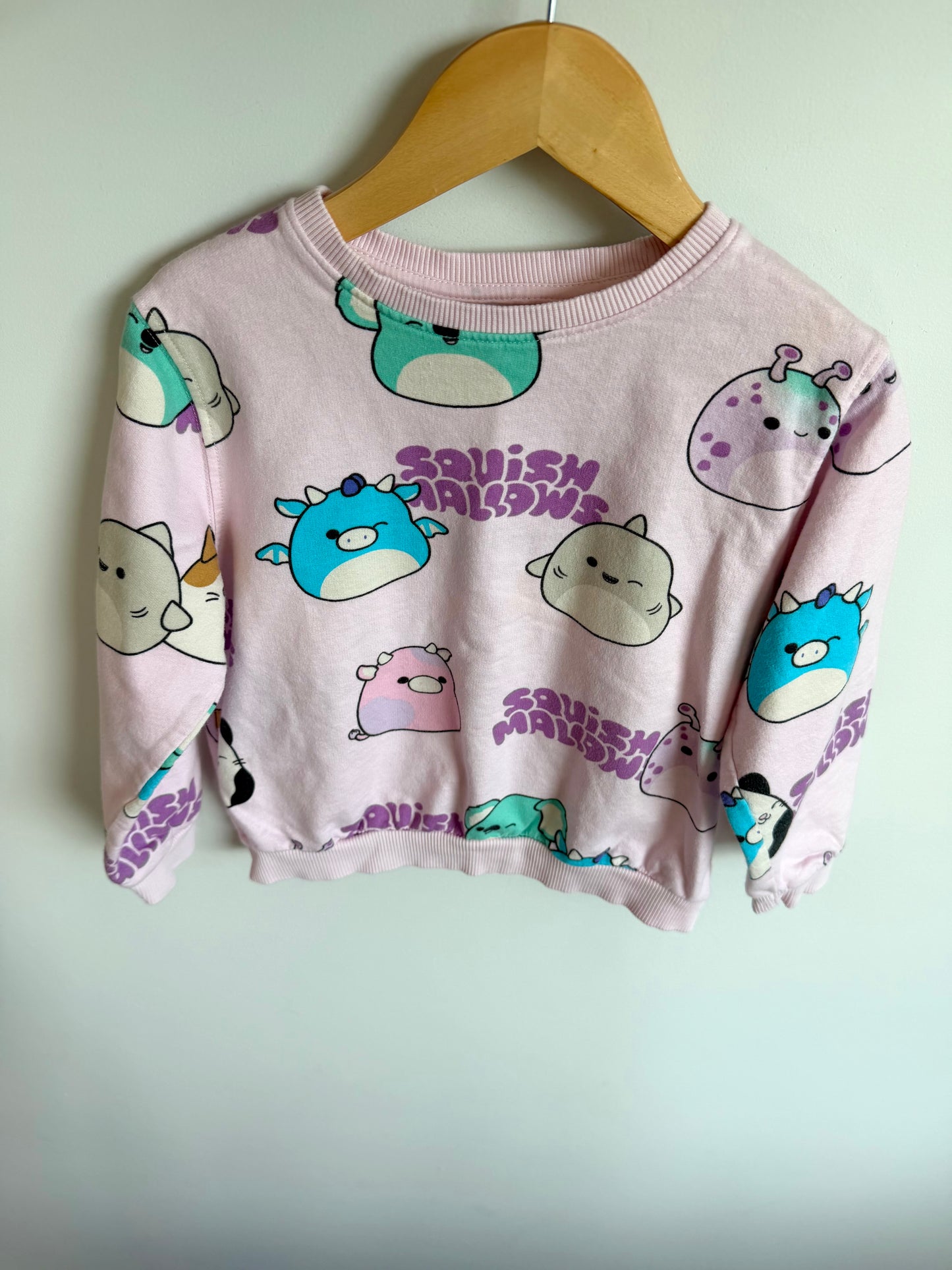 H&M Pink Squish Mallow Crewneck / 4-6 years