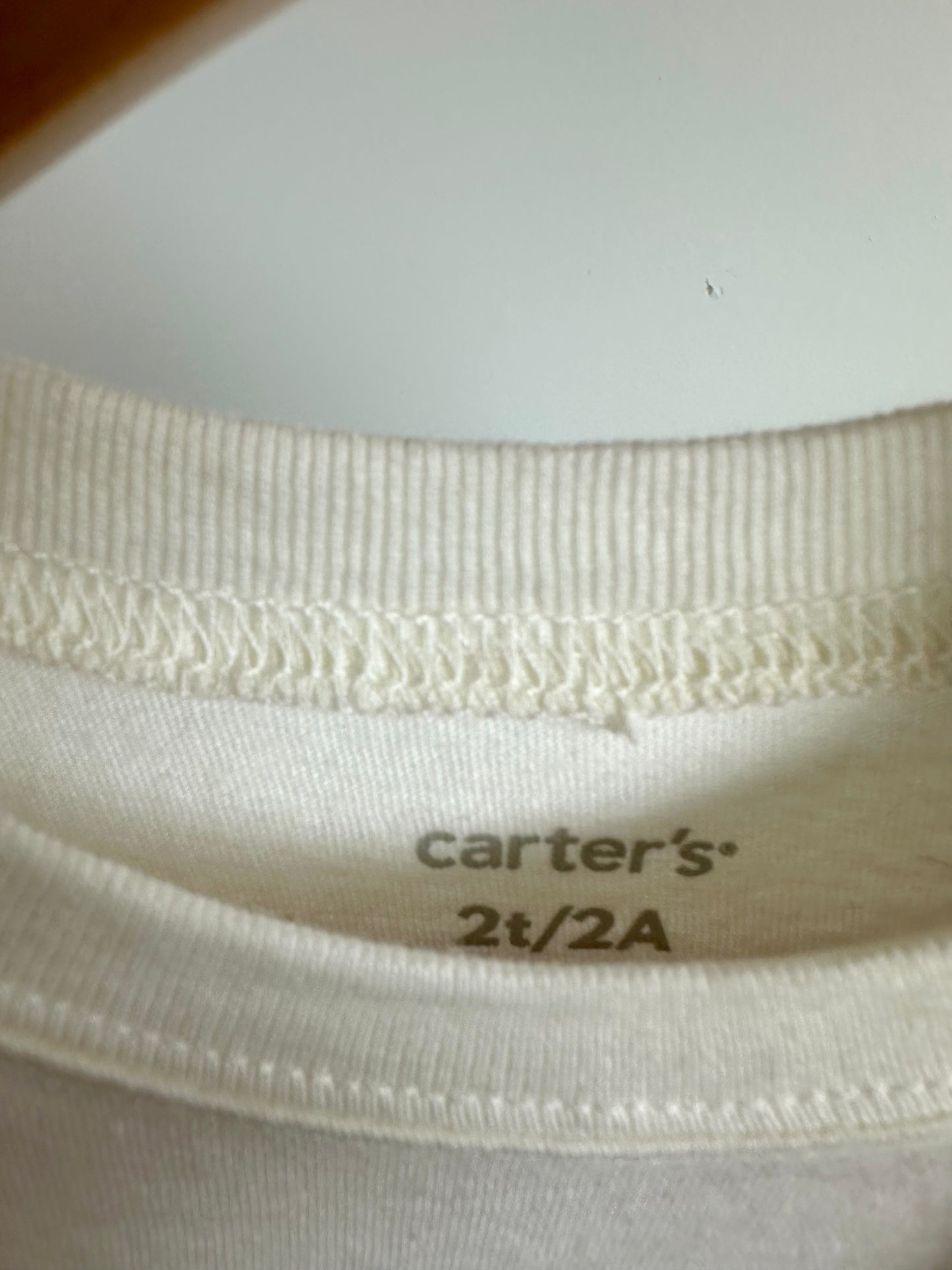 Wild One T-Shirt (With tags) / 2T
