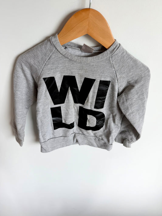 Wild Grey Sweater / 2T