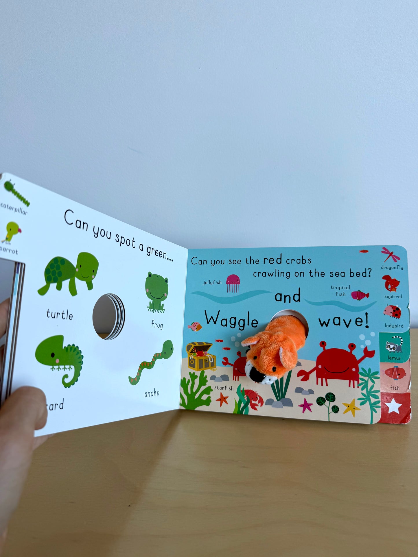 Animal Colors Puppet Book / 0-2 years (No Shipping)