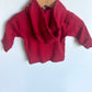 Red Moose Hoodie / 0-3m