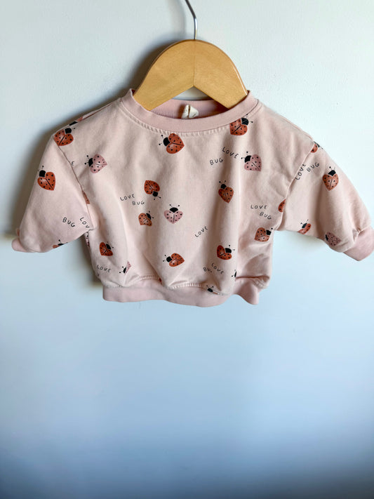 Quincy Mae Love Bug Crewneck / 3-6m