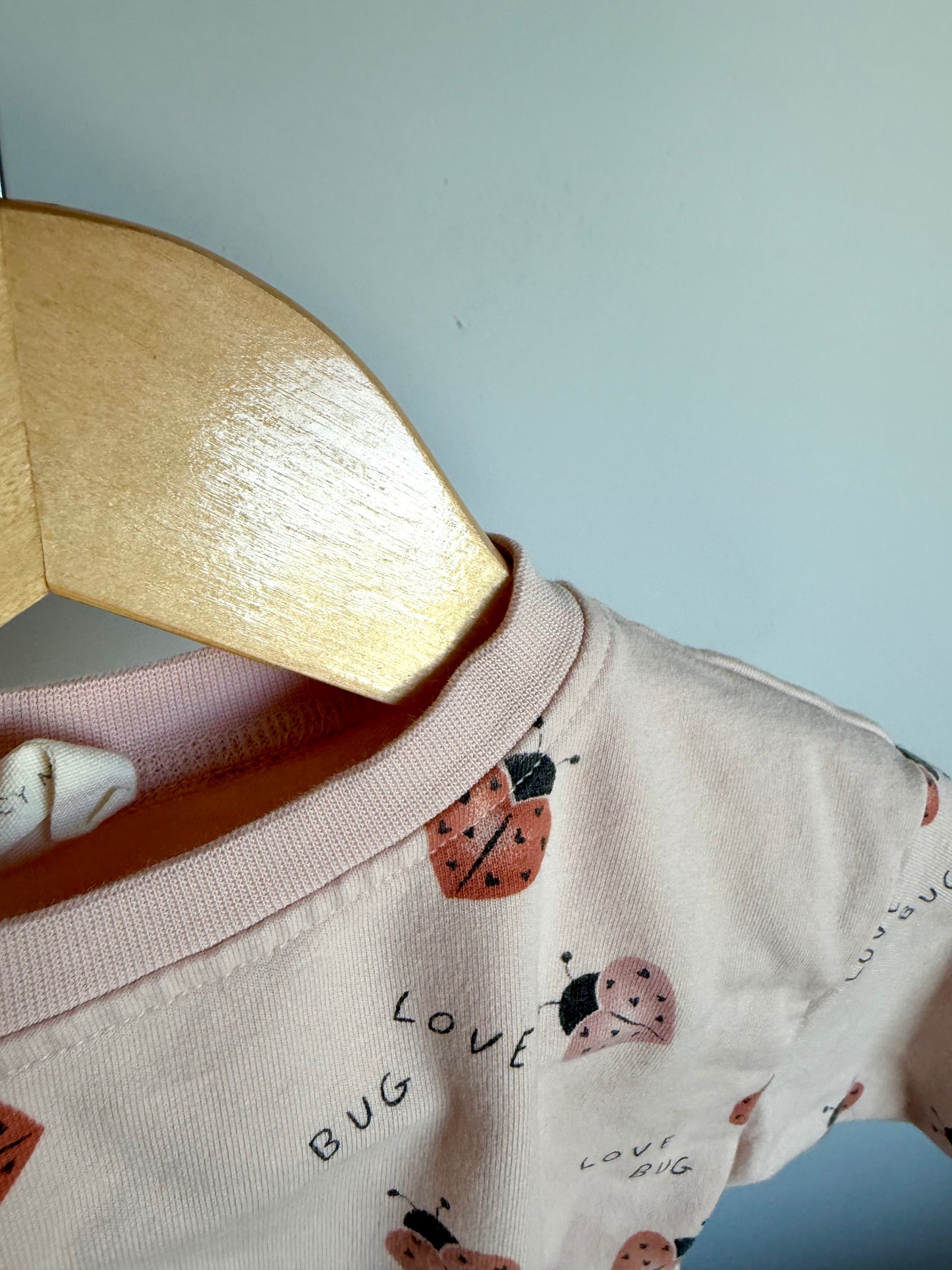 Quincy Mae Love Bug Crewneck / 3-6m