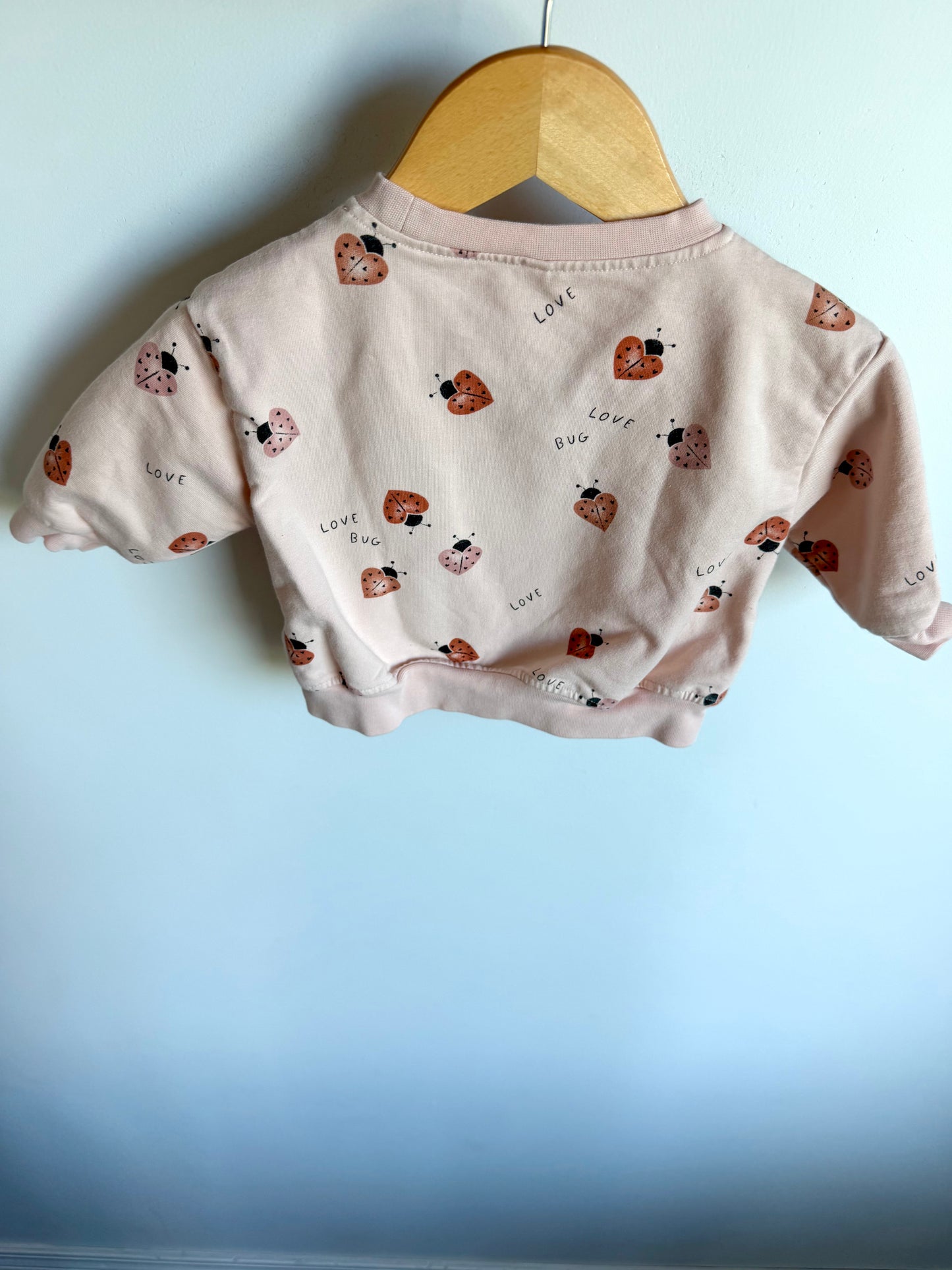Quincy Mae Love Bug Crewneck / 3-6m