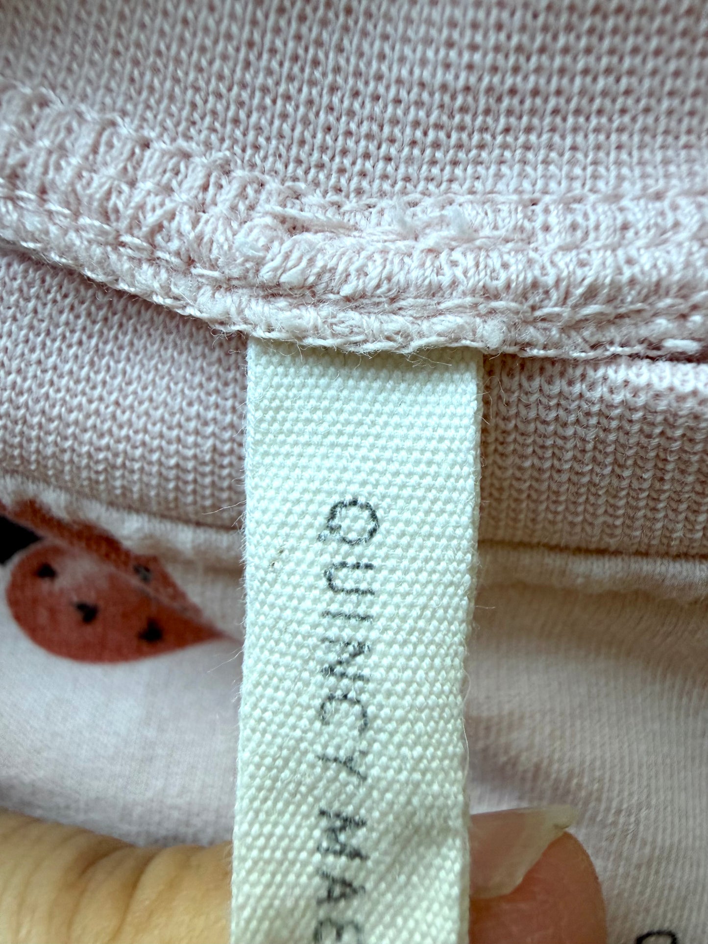 Quincy Mae Love Bug Crewneck / 3-6m
