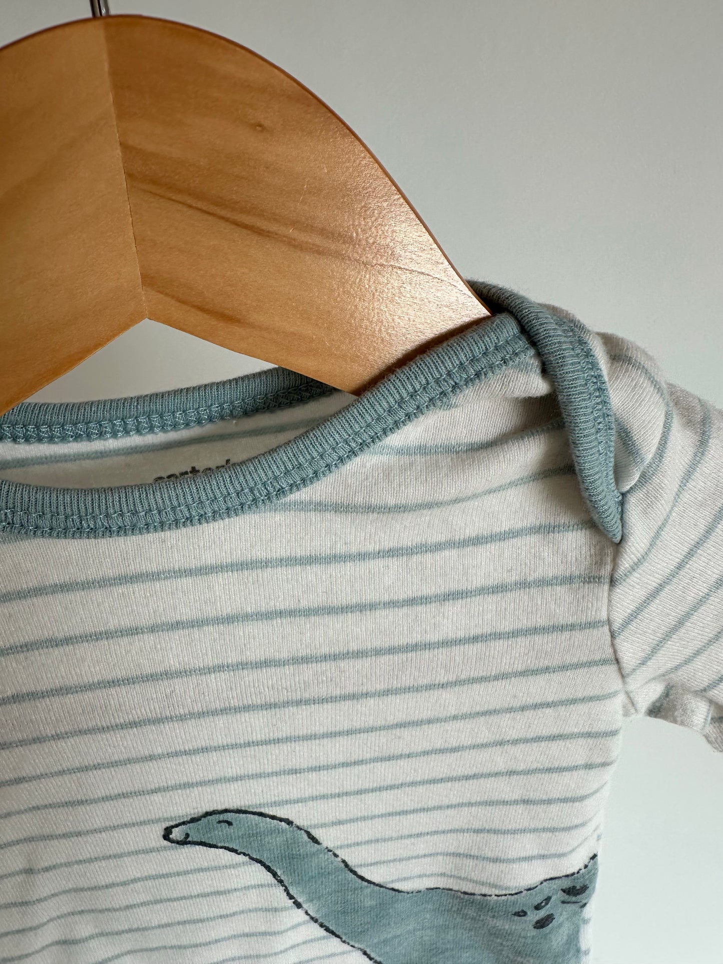 Dino Striped Long Sleeve Top / 6m