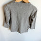 Grey Car Long Sleeve / 2-3T