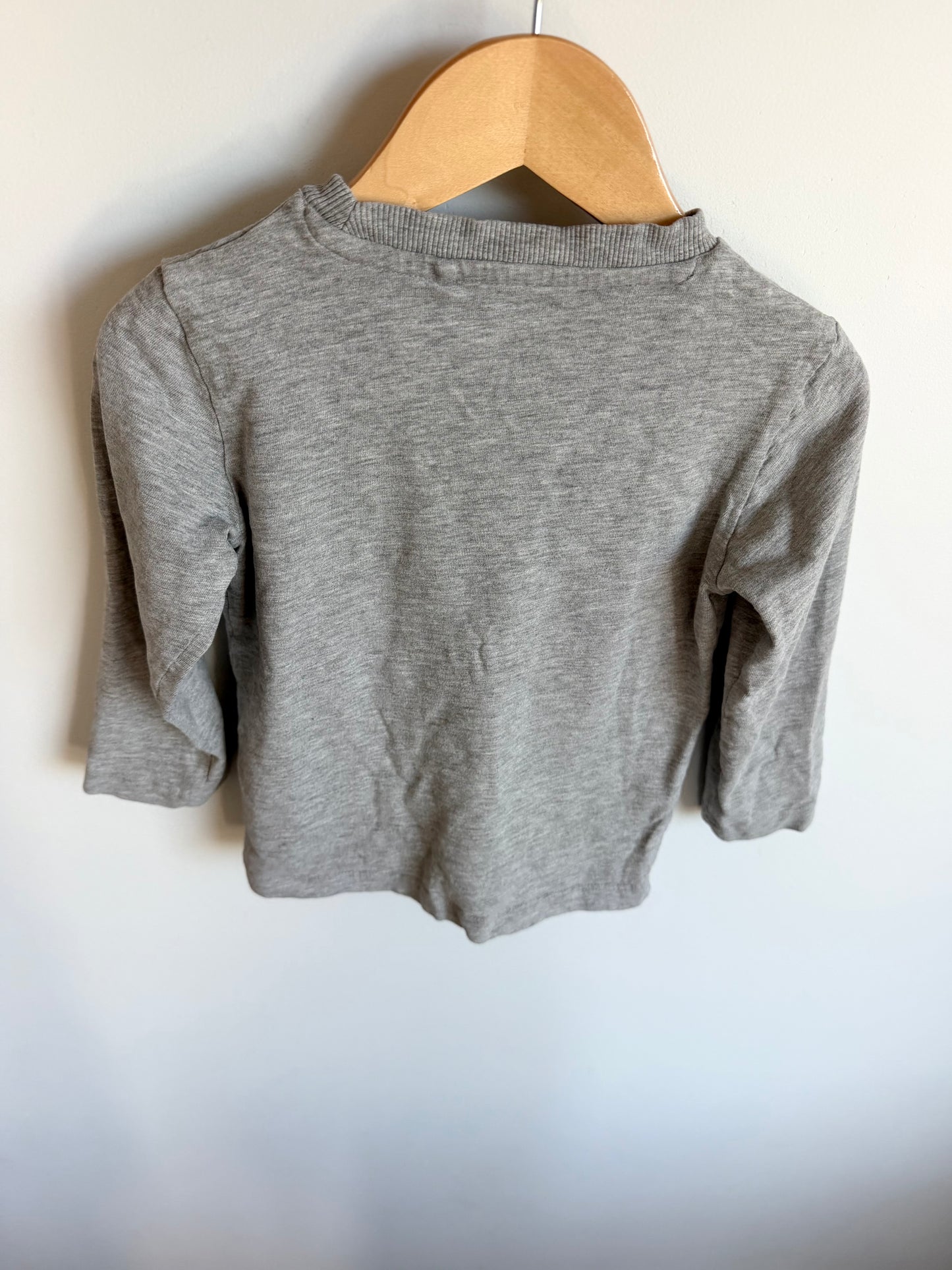 Grey Car Long Sleeve / 2-3T