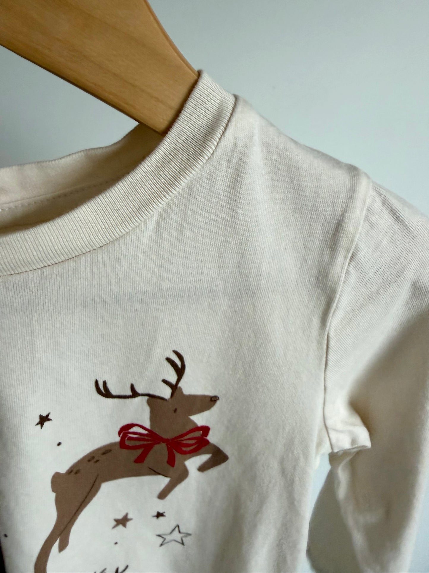 Reindeer Long Sleeve Top / 3-4T