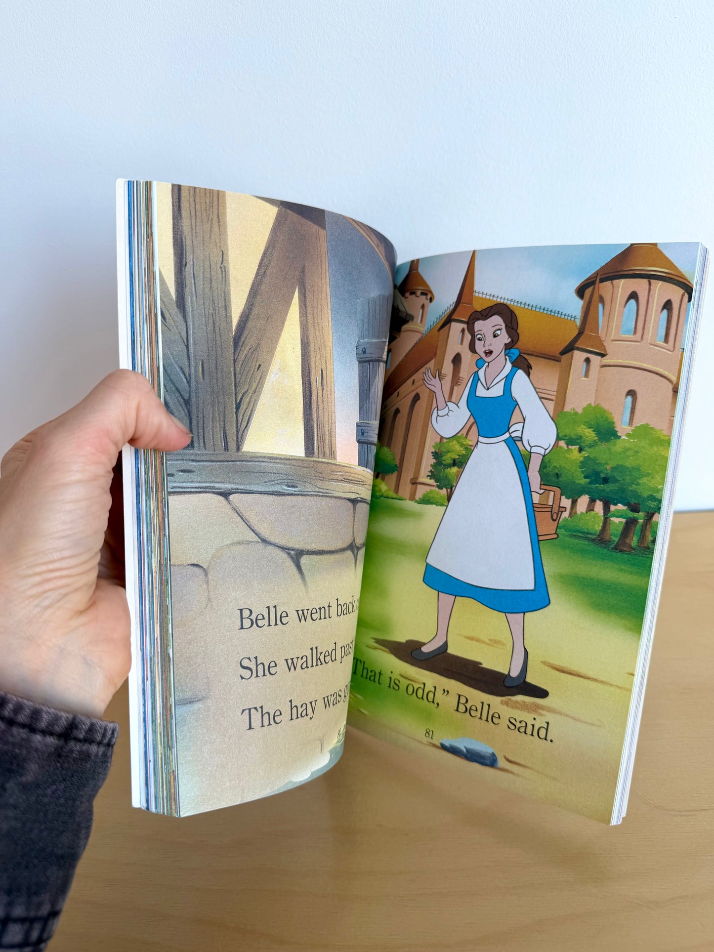 Princess Story Collection Book / 3-8 years – Little Bloom