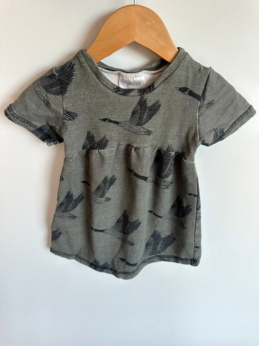 Geese Sage T-Shirt / 4T