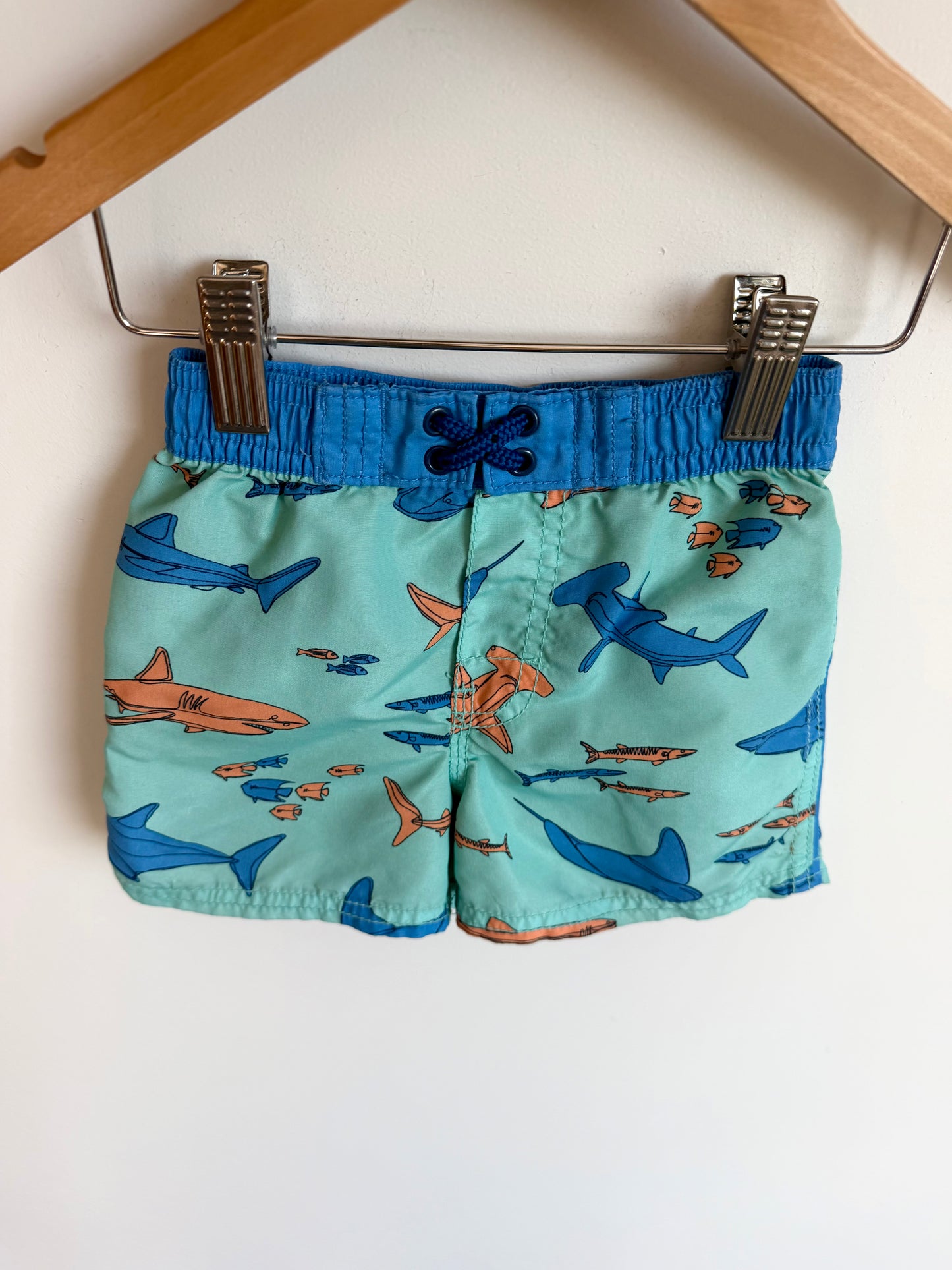 Shark Swim Shorts (No Mesh) / 18m