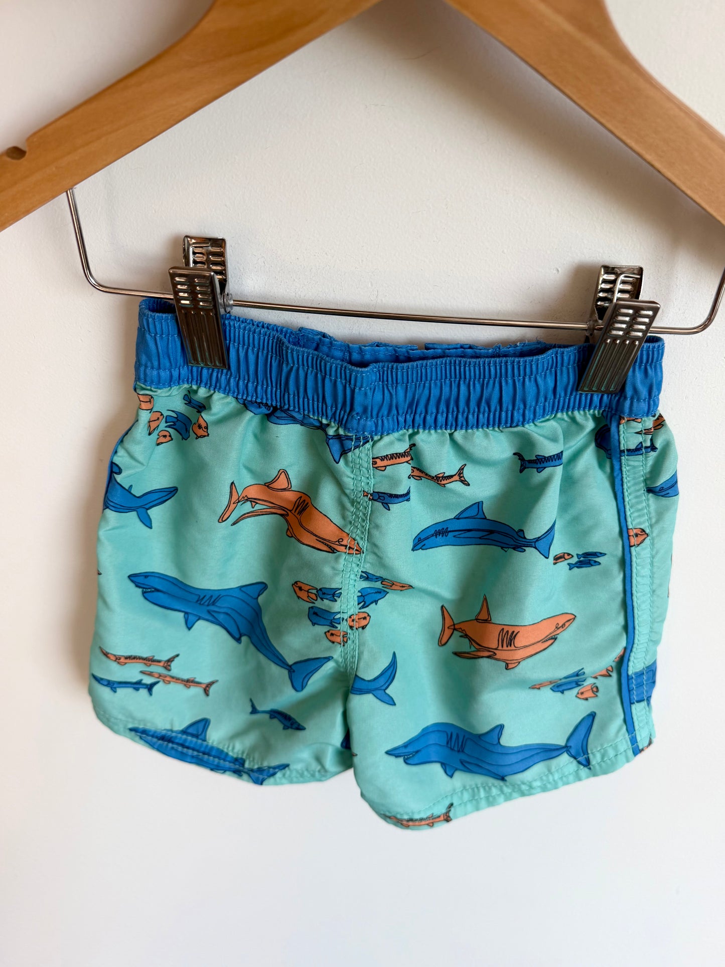 Shark Swim Shorts (No Mesh) / 18m