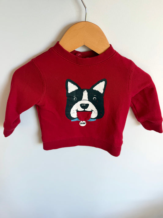 Dude Dog Red Sweater / 3-6m