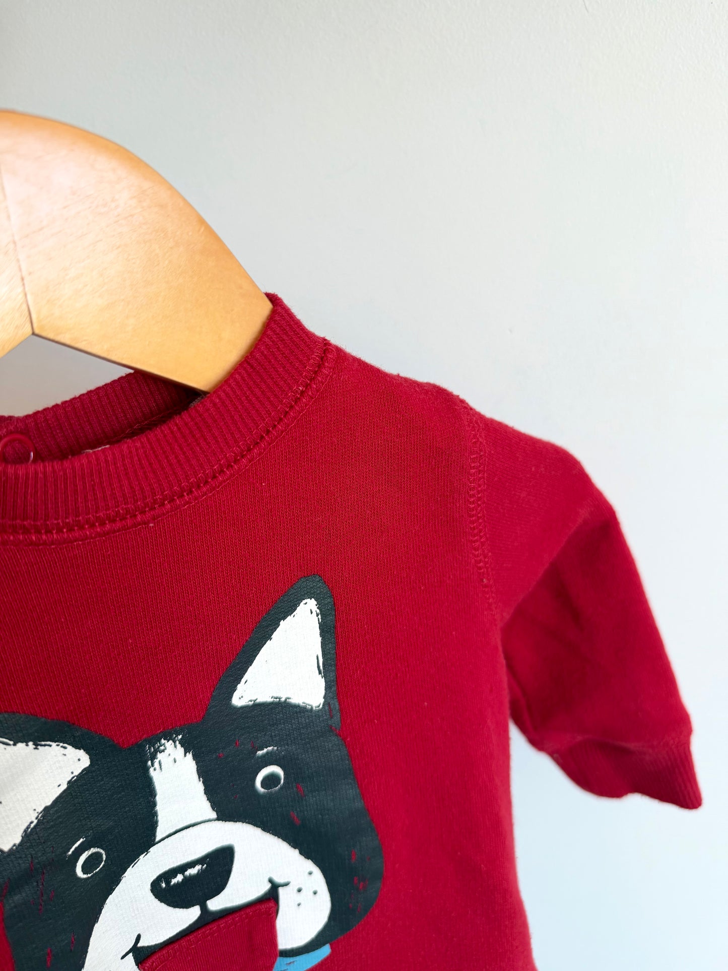 Dude Dog Red Sweater / 3-6m