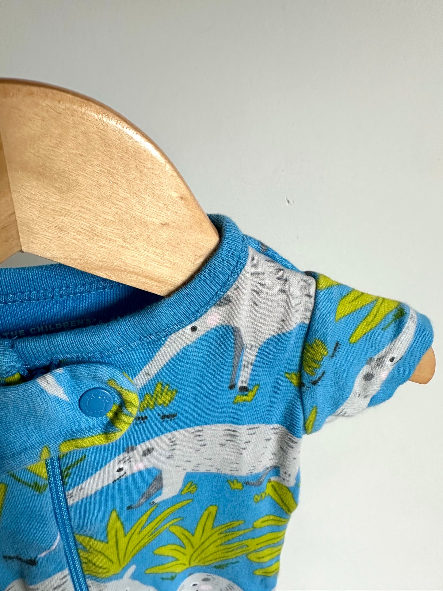 Blue Ant Eater Sleeper / 0-3m