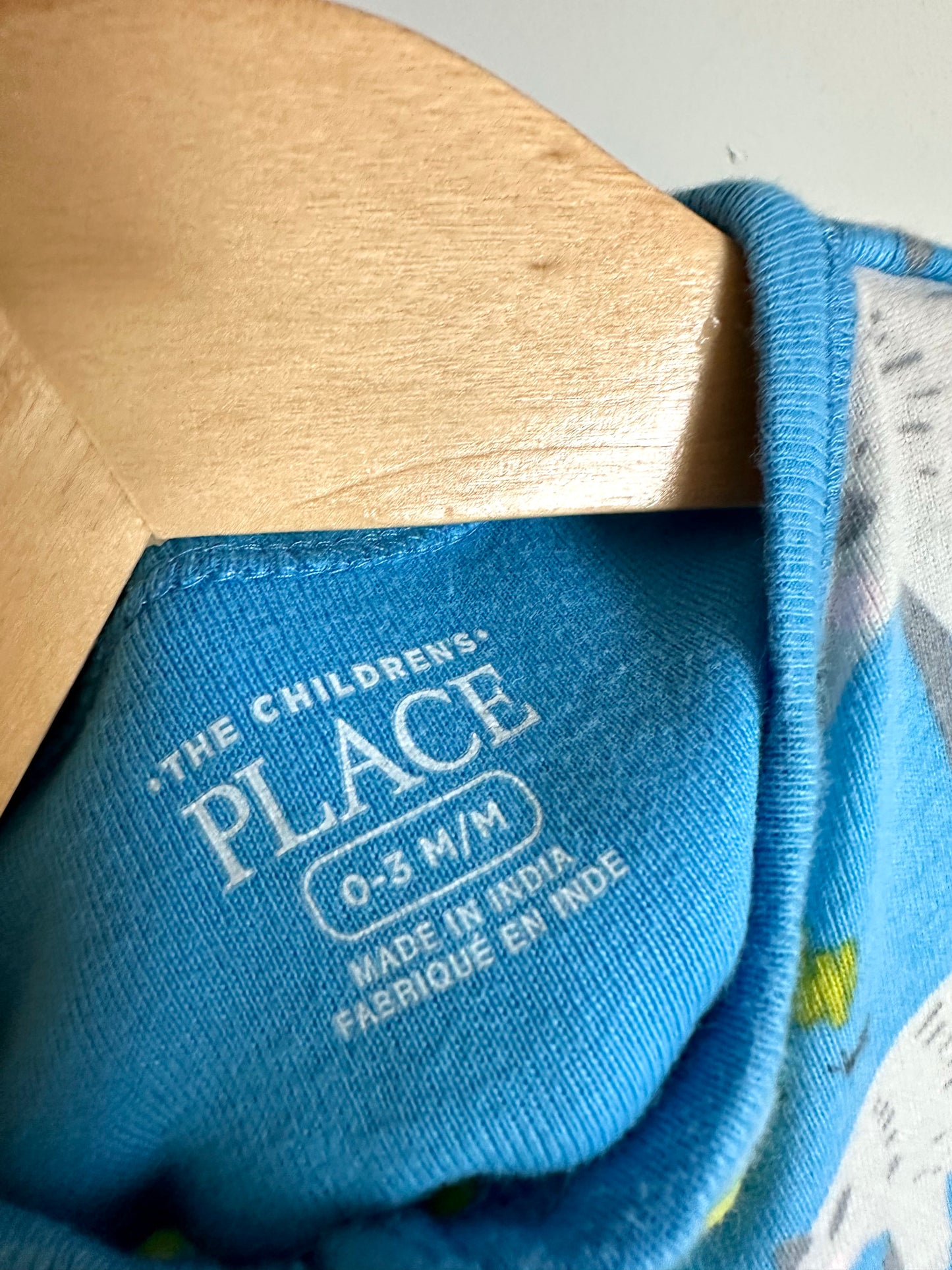 Blue Ant Eater Sleeper / 0-3m