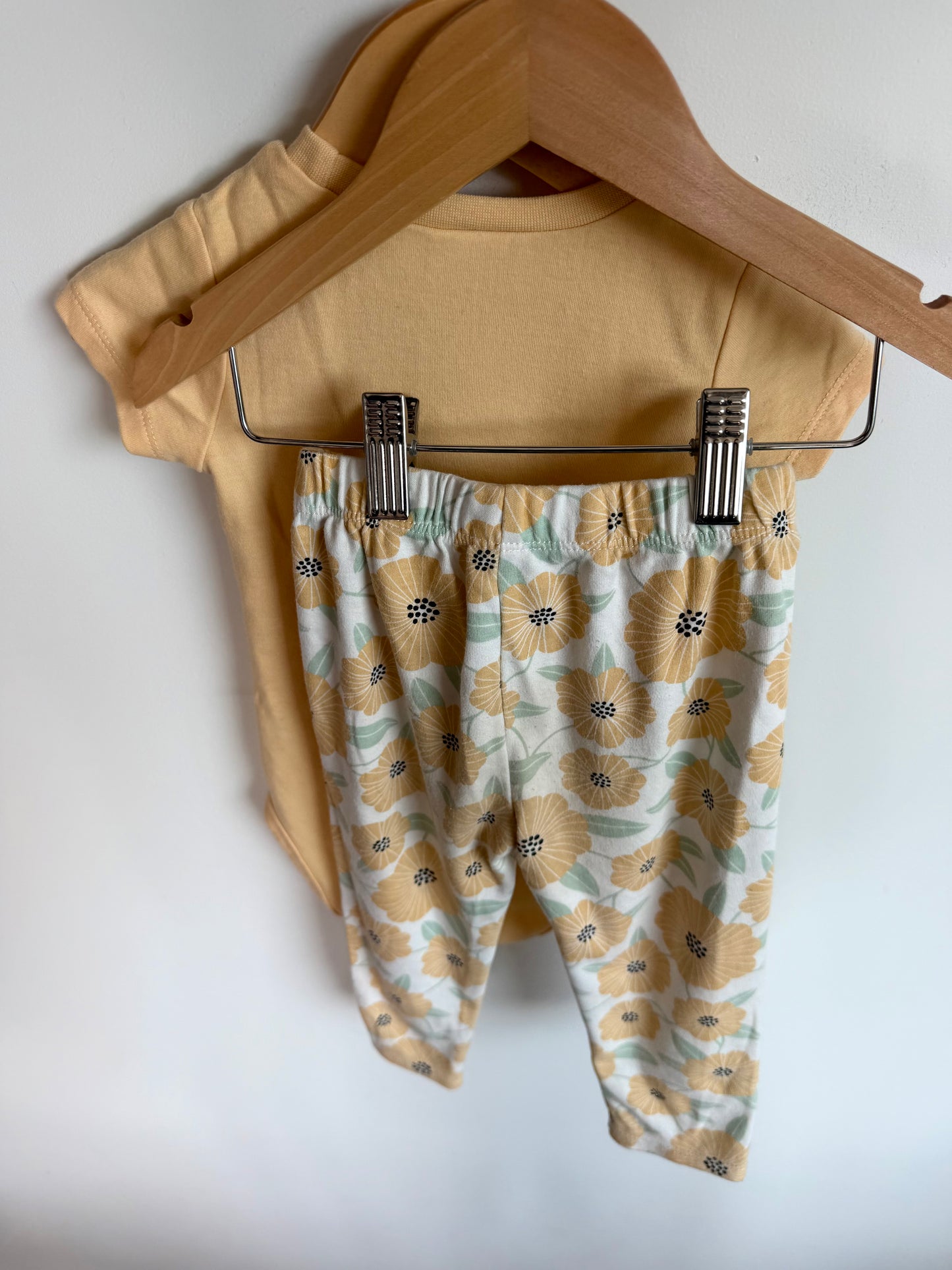 Bee + Flower Bodysuit and Pants Set / 24m