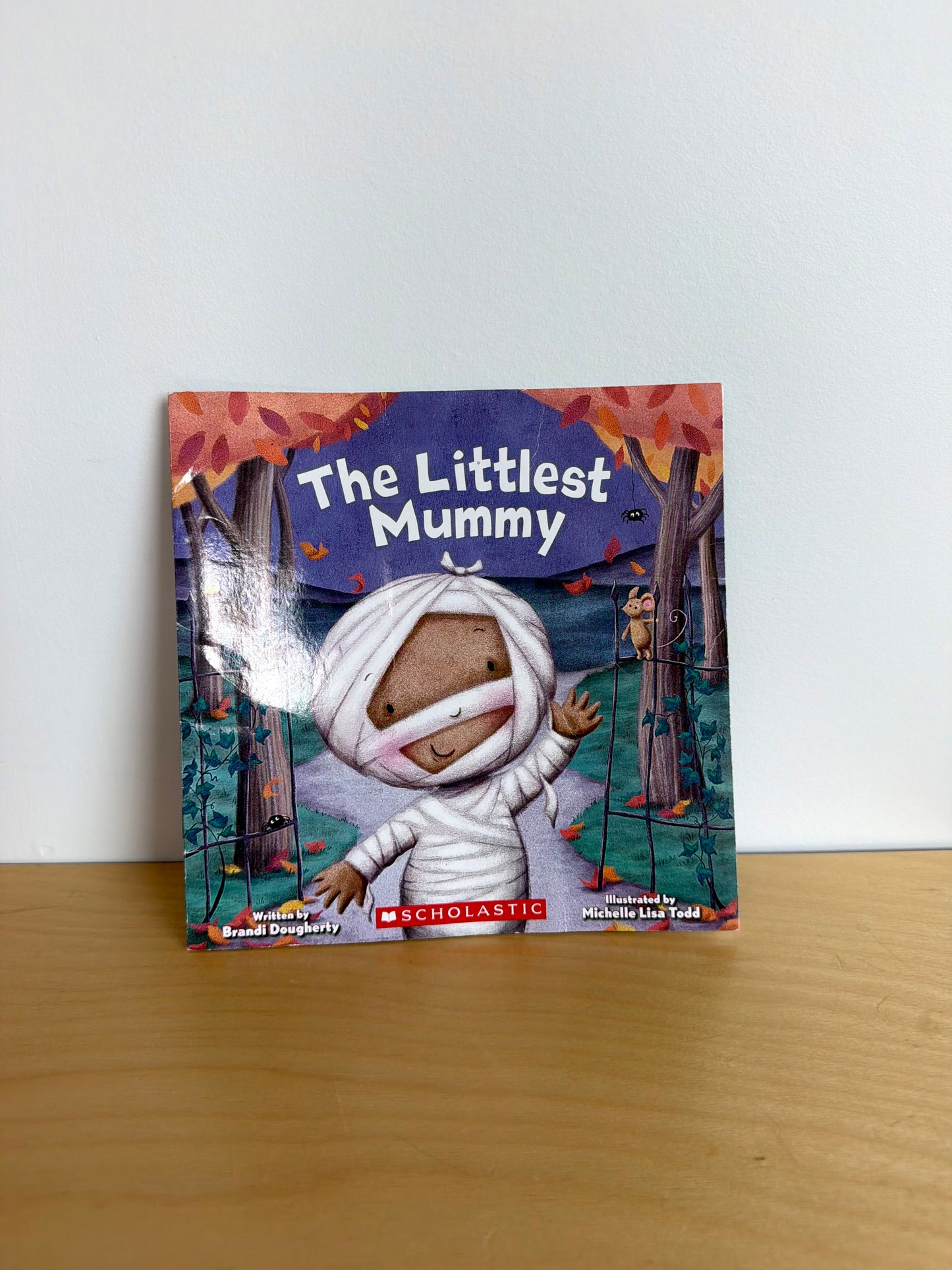 The Littlest Mummy Softcover Book / 3-5 years