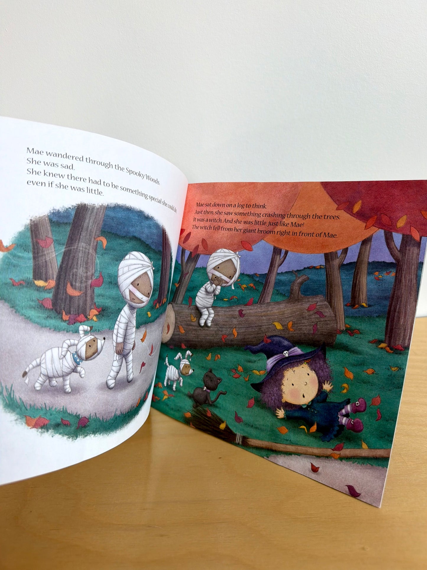 The Littlest Mummy Softcover Book / 3-5 years