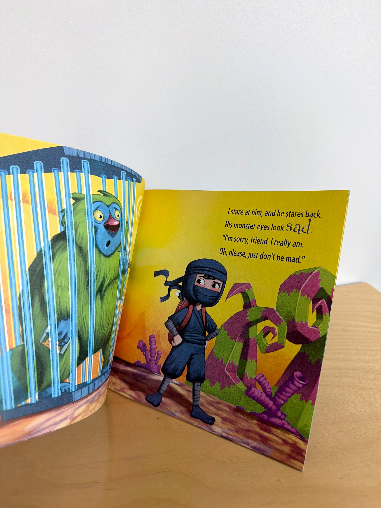 How to Catch a Monster Softcover Book / 4-8 years