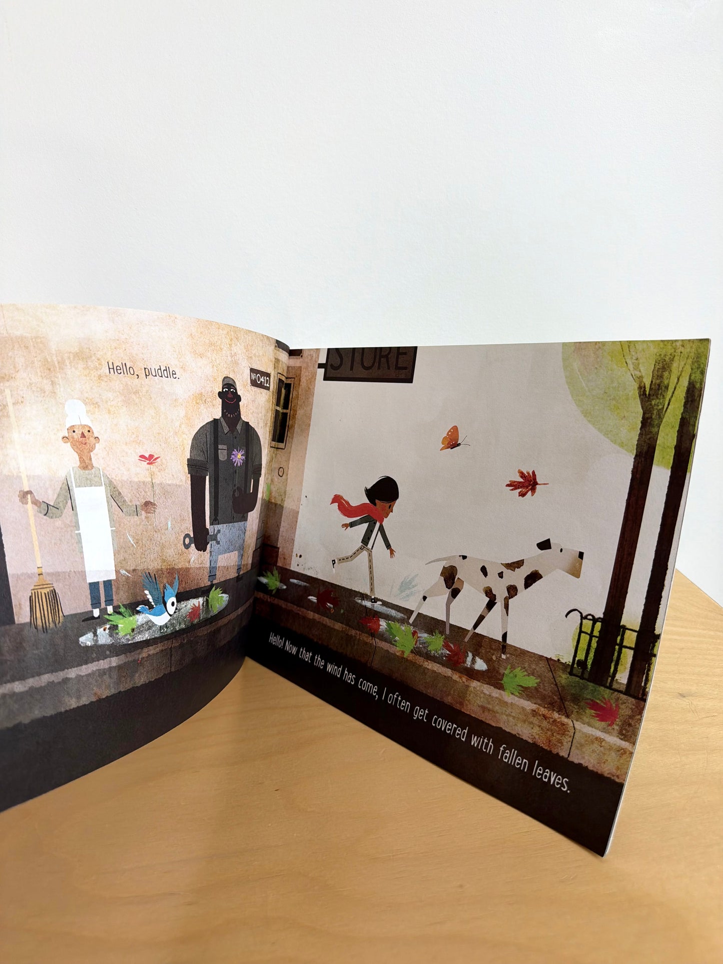 Goodbye Summer, Hello Autumn Softcover Book / 2-6 years