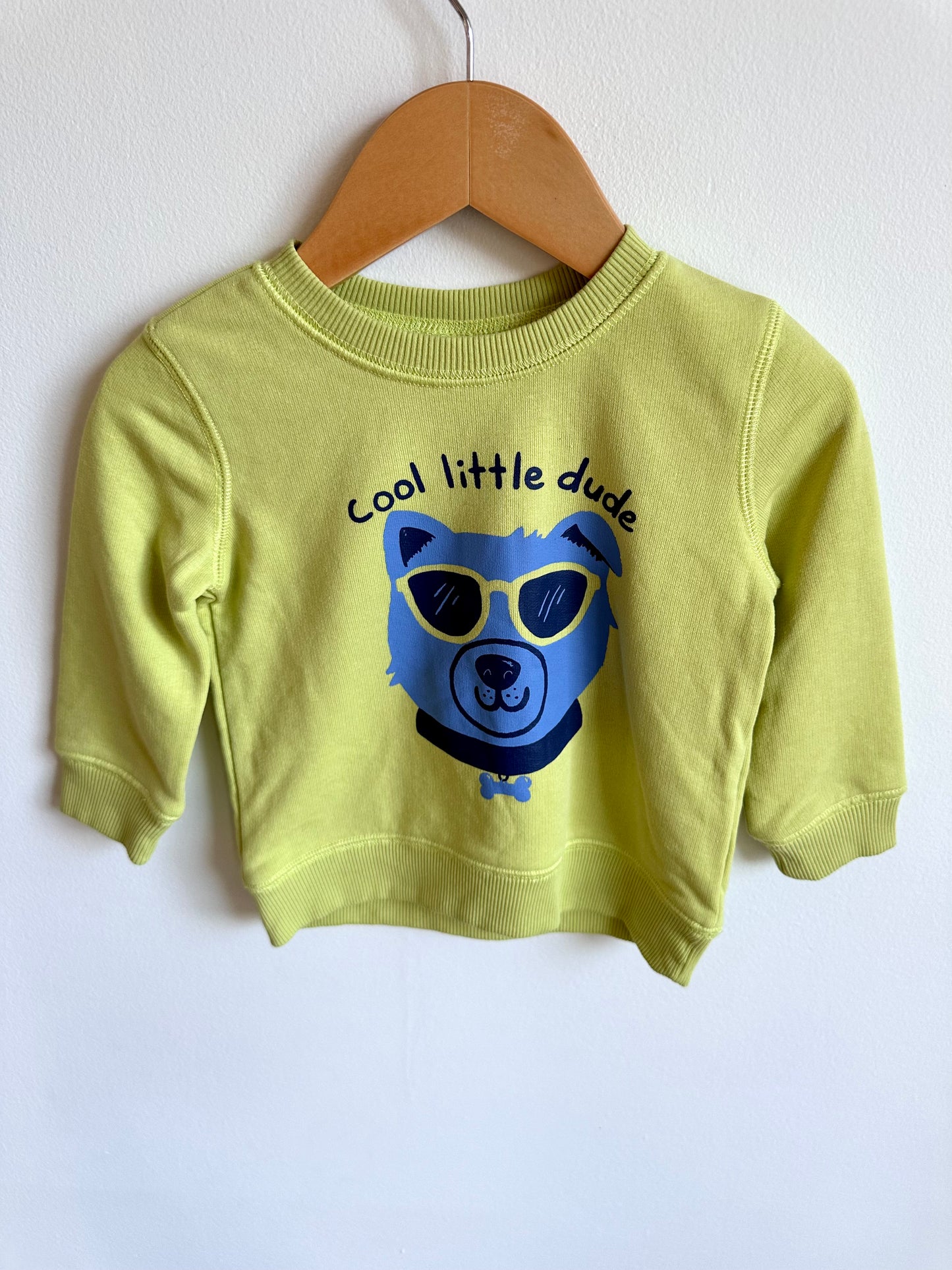 Cool Little Dude Sweater / 12-18m