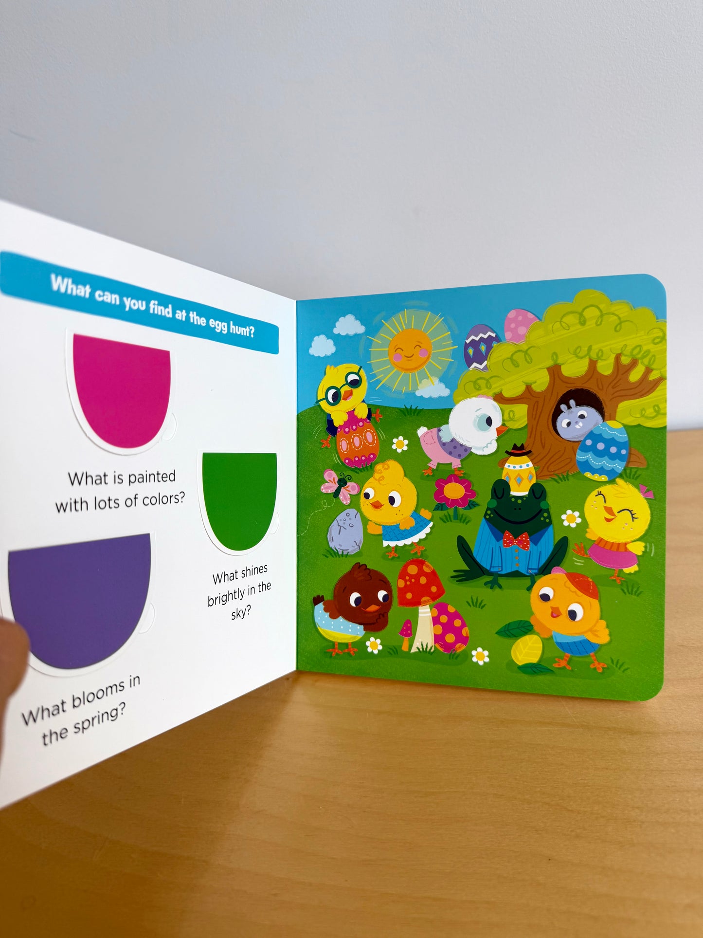 My Very First Easter Hidden Pictures Flap Book / 0-3 years