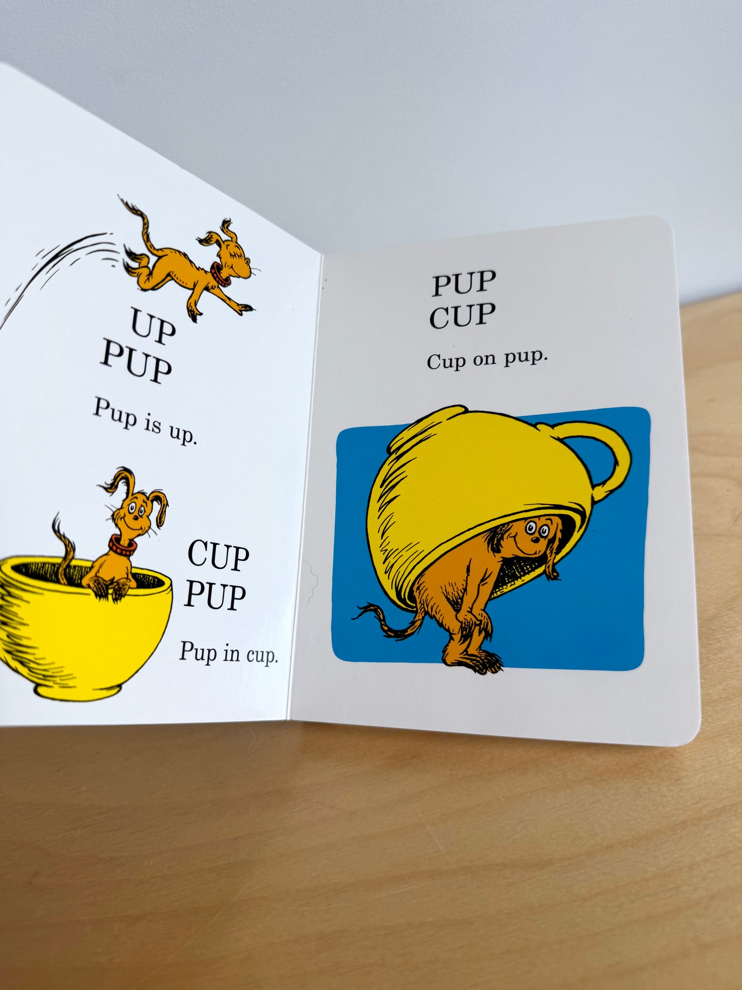 Hop On Pop Book / 1-4 years