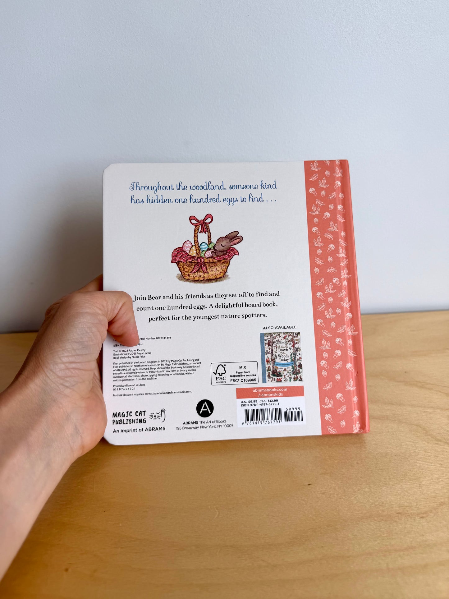 The Great Easter Egg Hunt Book / 0-3 years