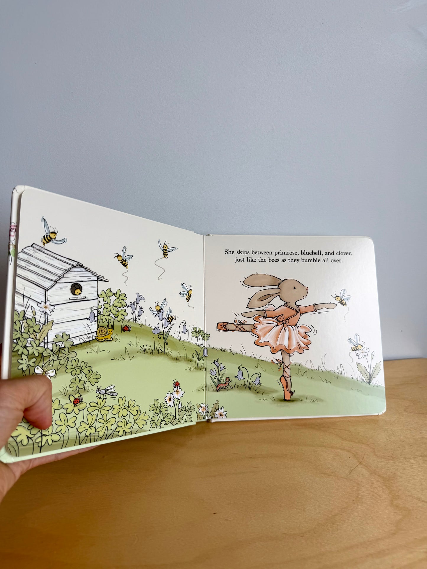 Lottie The Ballet Bunny Book / 1-4 years