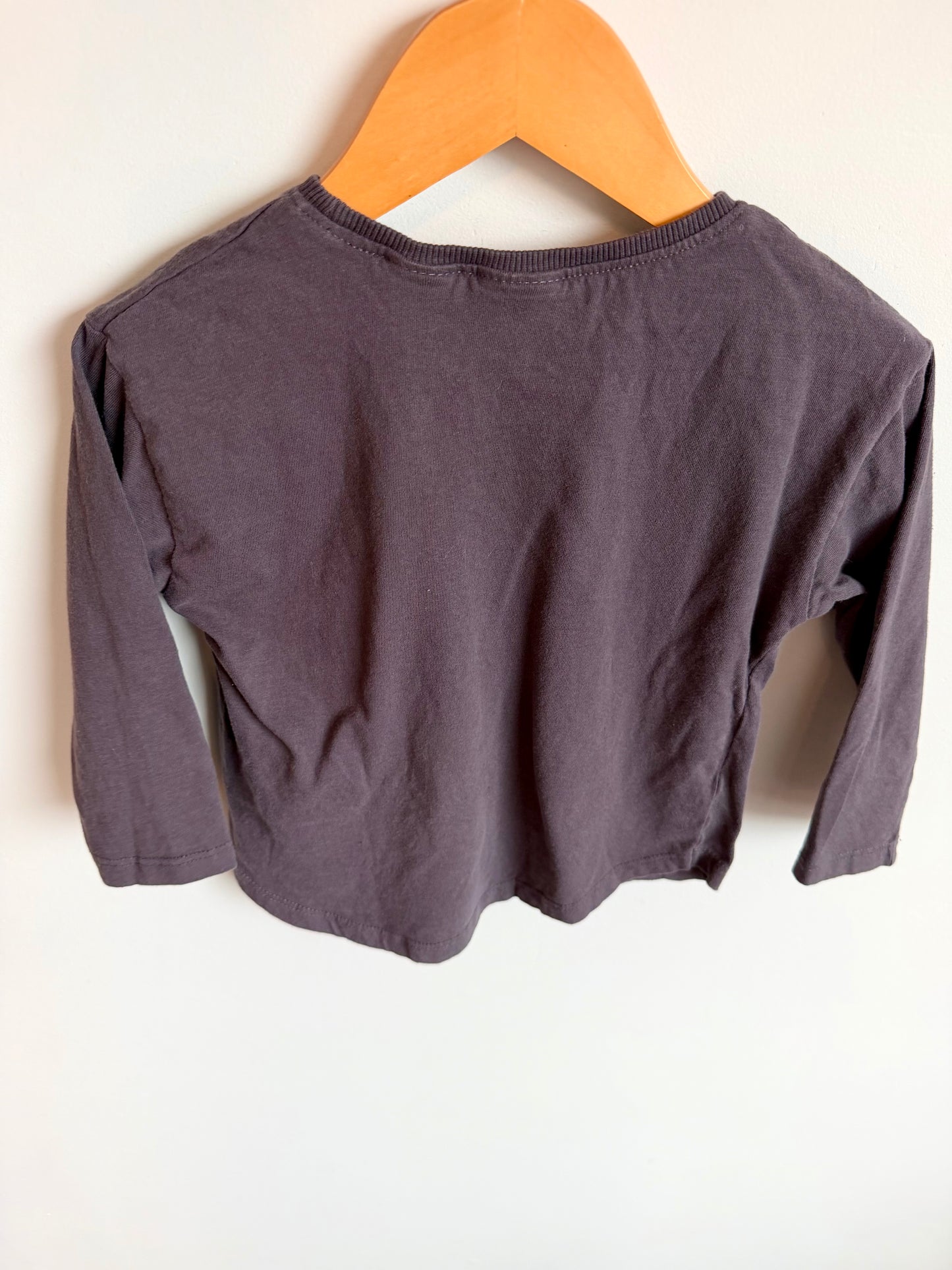 Zara Grey Squirrel + Acorn Long Sleeve / 2T