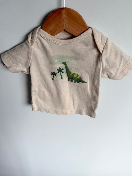 Brachiosaurus T-Shirt / 3m