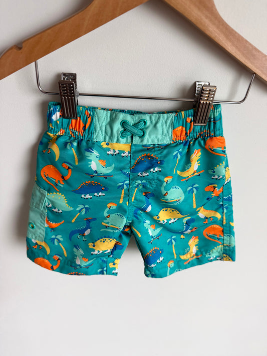 Skater Dino Swim Shorts / 12-18m