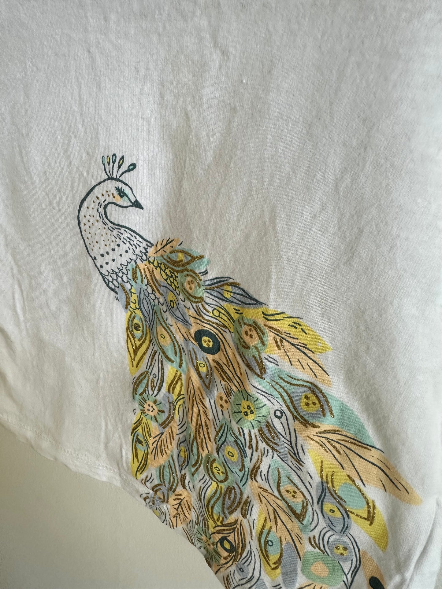 Peacock T-shirt / 18m