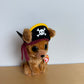 Ty Rowan Pirate Dog Toy
