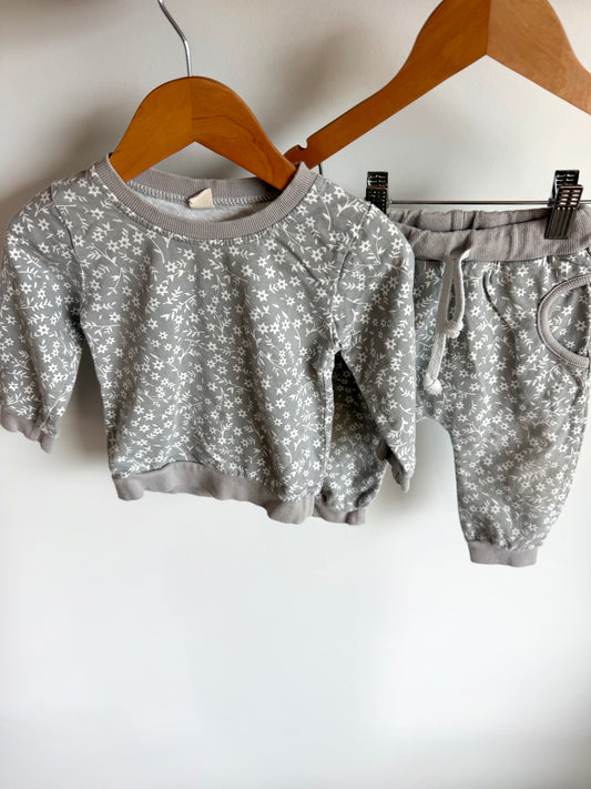 Grey Floral Sweater + Pants Set / 6-12m?