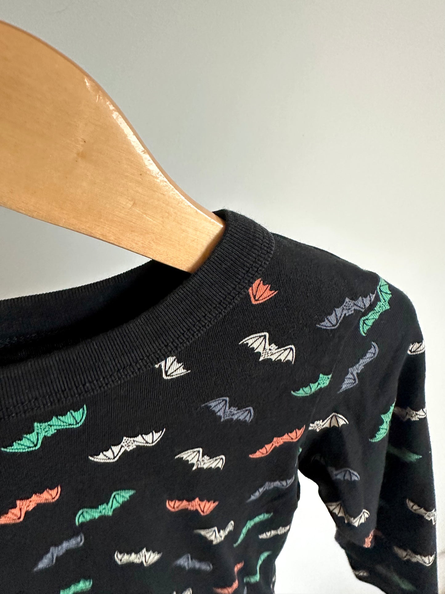 Bats Long Sleeve / 2T