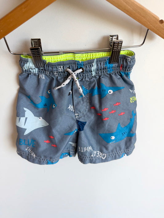 Shark Swim Shorts / 24m