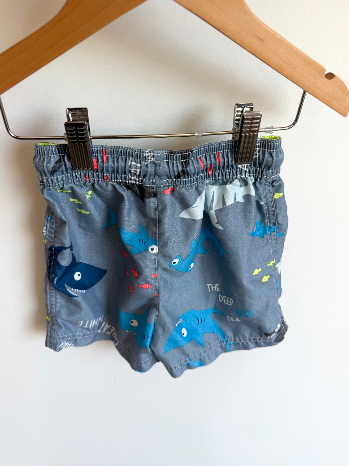 Shark Swim Shorts / 24m