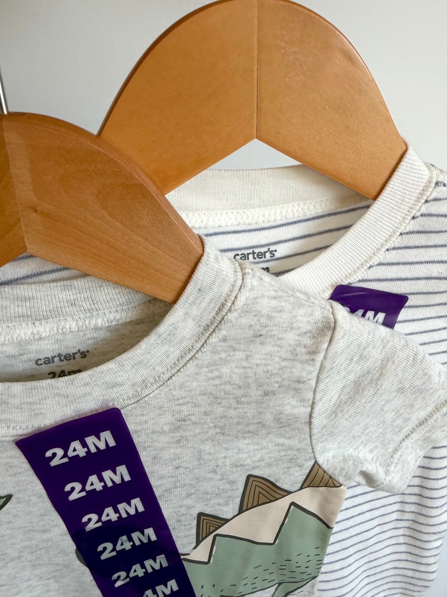 Set of 2 Bodysuits - Dino + Stripes (With Tags) / 24m