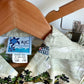 Tropical Island + Plane Dress Shirt + Shorts Set / 24m