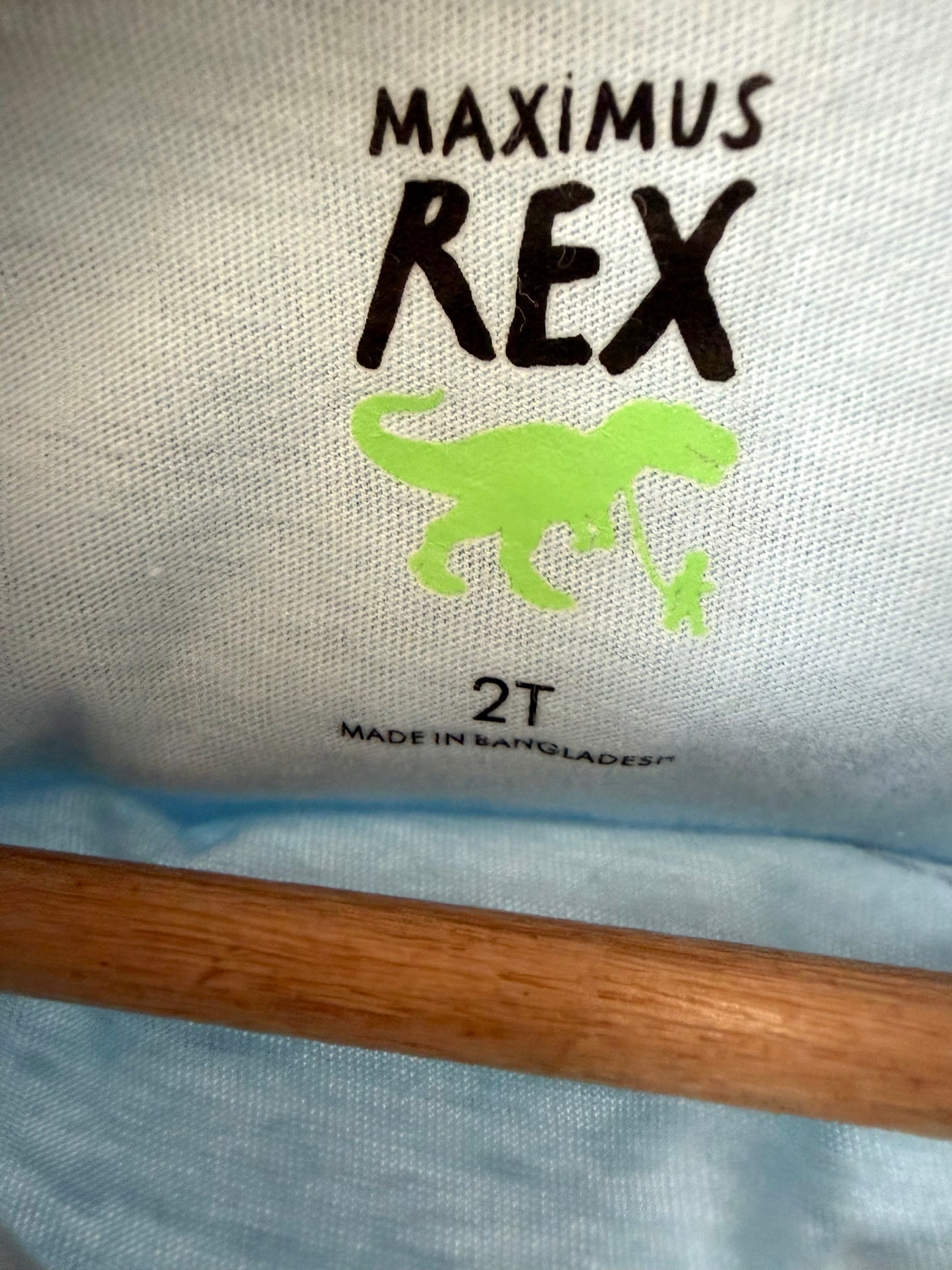 Blue Shark  T-shirt / 2T